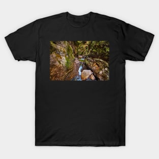 Canyon and river T-Shirt